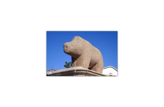 Porca de Murça em CM de Murça Porca de Murça em CM de Murça