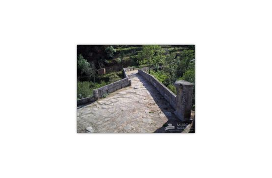 Ponte Filipina e a Via Romana em CM e Alijó Ponte Filipina e a Via Romana em CM e Alijó