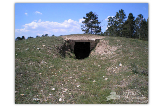 Mamoa do Castelo em CM de Murça Mamoa do Castelo em CM de Murça