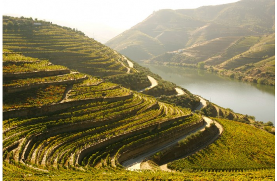 Douro em Notícias de Vila Real